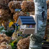 Vogelspotcast Pindakaaspothouder Wieden |