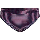 Trespass Dames/Dames Gestreept Bikinibroekje (Rose)