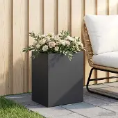 vidaXL Plantenbak Zwart 40 x 30 x 50 cm Koudgewalst staal