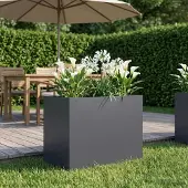 vidaXL Plantenbak Antraciet 60 x 40 x 50 cm Koudgewalst staal