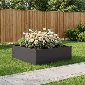 vidaXL Plantenbak Zwart 100 x 100 x 30 cm Koudgewalst staal