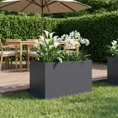 vidaXL Plantenbak Antraciet 60 x 40 x 40 cm Koudgewalst staal