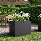vidaXL Plantenbak Zwart 50 x 40 x 50 cm Koudgewalst staal