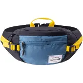 Iguana Fanny pack Gomeisa