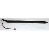 TRISCAN 8710 29337 Gasveer achterklep