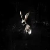 Sony music GHØSTKID- FOLLOW THE WHITE RABBIT (CD)