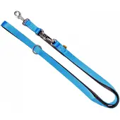 Dingo Uittrekbare Lijn Extra Energie Blauw 2cm x 220cm