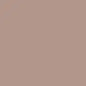2lif Plain mat Zelfklevende Folie Mini rol taupe mat 45cmx2mtr