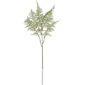 Maxifleur Kunstplanten Asparagus Kunsttak 66cm