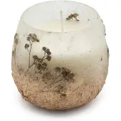 AW Gifts Small Glass Jar Candles - Wildlight Woods