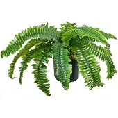 Decovego Kunstmatige Valse Varen Plant Decoratie Bininnen 45cm