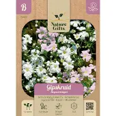 Baltus Gipskruid Elegans mengsel bloemenzaad Nature Gifts