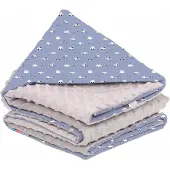 Babymam Dubbelzijdig Babydekentje Minky Katoen 75x100cm Autootjes