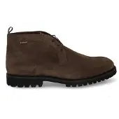 Floris van Bommel De Floter 01.01 taupe (44)