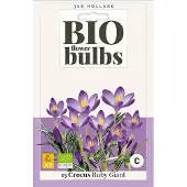 JUB X 15 Crocus Ruby Giant