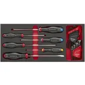 Facom Module Foam Protwist 6Pce+9Hex+8Tx Std - MODM.AT7