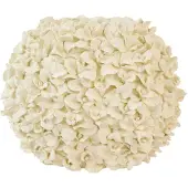 Light & Living Light&living Vaas deco 46x22x36,5 cm VELINA crème
