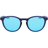 Nike Heren Evolution Logo Ronde Zonnebril (Marineblauw/Blauw)
