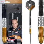 Bull's Dirk van Duijvenbode CP Steeltip 95% 23 gram