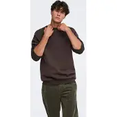 Only & Sons Sweatshirt 'ONSCERES' donkerbruin