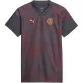 Puma Unisex trainingsshirt voor volwassenen van Manchester City FC (Grijs)