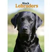CAROUSEL CALENDARS Labrador Retriever Zwart A5 Agenda 2027