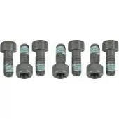 SACHS Schroevenset vliegwiel 1874 000 054