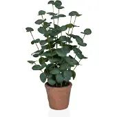 Hjh OFFICE Kunstplant / potplant EUCALYPTUS BONSAI 46 cm kunststof groen