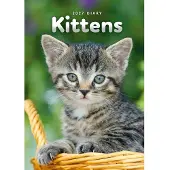 CAROUSEL CALENDARS Kittens A5 Agenda 2027
