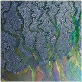 Import Alt-J - An Awesome Wave (LP) (Coloured Vinyl)