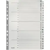 Leitz Register Karton