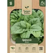 Baltus Spinazie Matador groentenzaad Nature Gifts