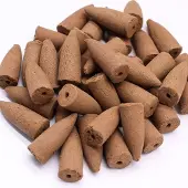 Ancient Wisdom Masala Backflow Wierookpakket van 10 - Aloë Vera