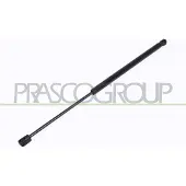 PRASCO PG0099055 Gasveer achterklep