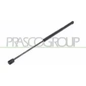 PRASCO OP7179055 Gasveer achterklep