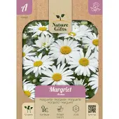 Baltus Margriet Alaska bloemenzaad Nature Gifts
