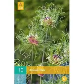 JUB Allium Hair - sierui - set van 10 stuks