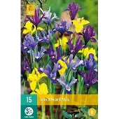 JUB X 15 Iris species mix