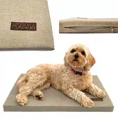 DOTTY Hondenkussen XL (105x70cm) - Beige, waterafstotend en wasbaar