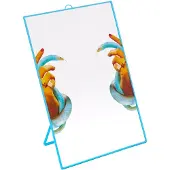 Seletti Toiletpaper Spiegel Groot Hands With Snakes