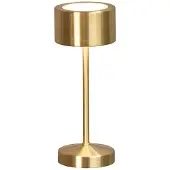 Fischer Leuchten Buitenlamp Vicenza-XS-Pro Outdoor Goud