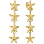 Radiant Ry000136 Oorbellen