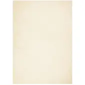 vidaXL Vloerkleed HUARTE laagpolig zacht wasbaar 240x340 cm crème