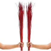 Famanu – Gedroogd Siergras voor Vloervazen 115 cm Droogboeket Set 2