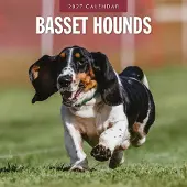 Red Robin Basset Hound Kalender 2027