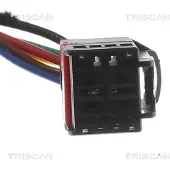 TRISCAN 8710 29307 Gasveer achterklep