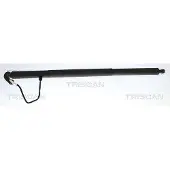 TRISCAN 8710 29334 Gasveer achterklep
