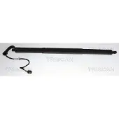 TRISCAN 8710 29338 Gasveer achterklep