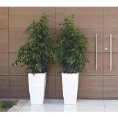 Artevasi Plantenbak - Pisa - 40 x 40 x 78 cm - Wit - Zelfwaterend