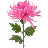 Clayre & Eef Kunstbloem Roze Kunststof